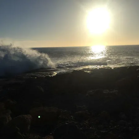 Alicia Paraiso Del Sur *