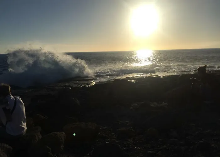 Alicia Paraiso Del Sur *